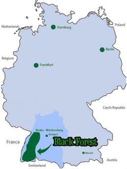 Regiunea Schwarzwald